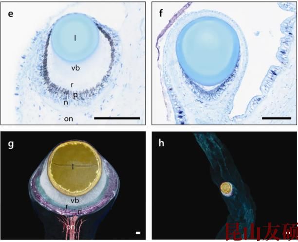 1748929134894893.jpg 360截图20250603133801064.jpg